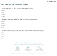 No matter how simple the math problem is, just seeing numbers and equations could send many people running for the hills. Plant Parts Quiz Worksheet For Kids Study Com