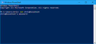 Ssh allows encrypting data so that the possibility of malicious cannot access user information and passwords. How To Enable And Use Windows 10 S New Built In Ssh Commands