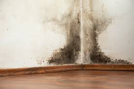 is discovery of mold in your future