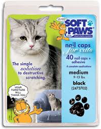 soft paws black cat nail caps