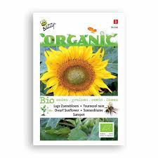 Buzzy Organic Dwarf Sunflower