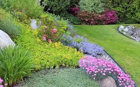 What is a good ground cover for an area mostly shaded. Best Ground Cover Plants David Domoney