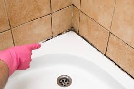 Clean And Get Rid Of Mold