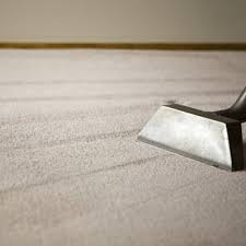 fox valley carpet cleaning 114 pkwy