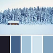 14 winter brand colour palettes for