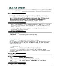 19 New College Student Resume Skills Examples