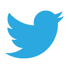 Image result for twitter logo