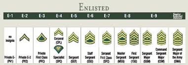 Army Enlisted Rank Insignias Army Ranks Warrant Officer