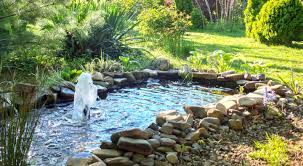 Choosing The Right Pond Liner