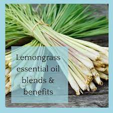 lemongr essential oil blends