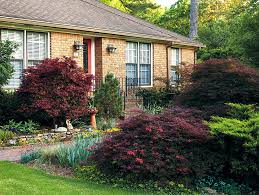 Designing With Japanese Maples Garden