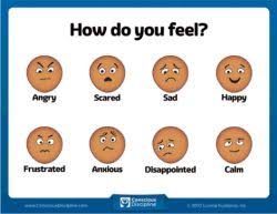 Free Resources Conscious Discipline Feelings Chart