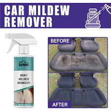 car mold remover spray effective
