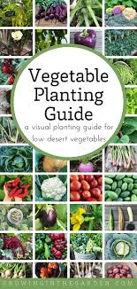 Greenhouses and cold frames can be a great help to get things started in september, as the days cool down from the peak temperatures of summer. Arizona Vegetable Planting Guide A Visual Guide For Low Desert Vegetables Growing In The Garden