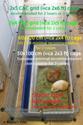 Cage Size Guide The Guinea Pig Forum