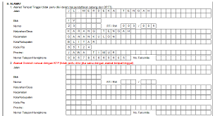 Formulir permohonan cetak ulang kartu npwp dan petunjuk pengisiannya. Cara Mengisi Formulir Npwp Pribadi Yang Sudah Diisi