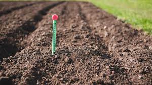 Skip Sterilizing Your Garden S Soil