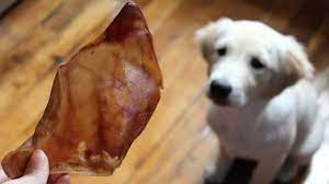 Best pig ears for dogs buying guide & faq. Pig Ear Pet Treats Fda Cdc Advise Not To Give To Dogs Amid Outbreak
