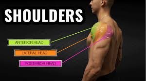 shoulder workout routine 4 exercises