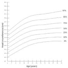 Head Circumference Graph Percentile For Boys Age 6 19 Years