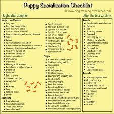 Tips for socializing a puppy before vaccinations. Puppy Clicker Training Socialization