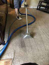 carpet cleaning company salisbury