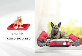 kong dog bed review are kong beds