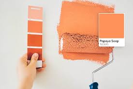 Colour Match Your Walls Taubmans Paints