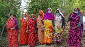 Apa kesalahan india dalam penanganan covid yang bisa jadi pelajaran untuk indonesia? Piplantri Desa Di India Yang Menanam 111 Pohon Setiap Anak Perempuan Lahir Bbc News Indonesia