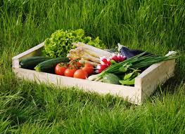 vente directe fruits et légumes avignon pour