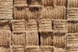straw mulch vs hay mulch which is