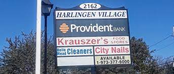 harlingen village montgomery township