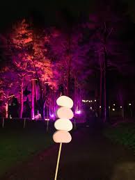 the alnwick winter gardens light trail