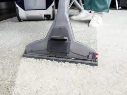 professional carpet cleaning service in