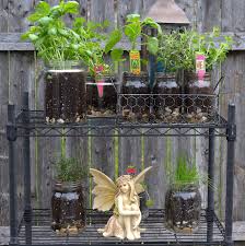 Easy Indoor Outdoor Glass Jar Garden