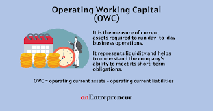 Operating Working Capital Owc