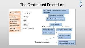 Marketing Authorization Procedures In Developed And