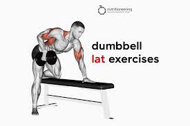 13 dumbbell lat exercises to beef up