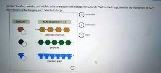 solved polysaccharides proteins and