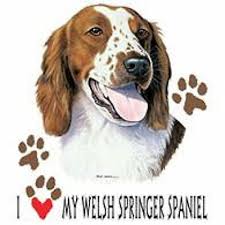 Welsh Springer Spaniel Love T Shirt Pick Your Size 7 X Large To 14x Large Ebay