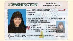 washington driver s license numbers