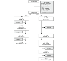 Flow Chart Of The Experimental Design One Hundred Three