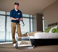 3 best upholstery cleaning services