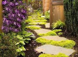 Stepables Perfect Plants For Paths And
