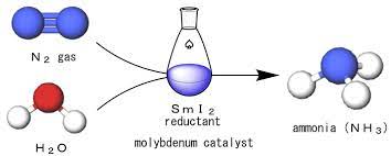 Ammonia Synthesis