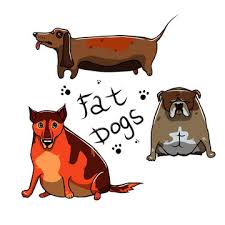 You can follow any clips from all over the world at one place one day channel follow us fanpage : Vector Set With Cute Fat Dogs Stock Vector Adobe Stock