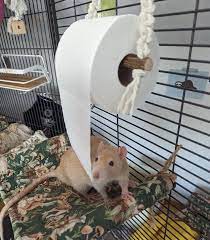 Rat Toilet Roll Holder Macrame Toilet