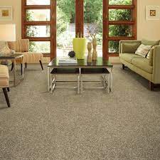 visual beauty plush carpet empire today