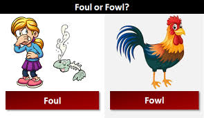 نتیجه جستجوی لغت [fowl] در گوگل