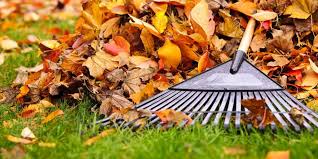 Fall Cleanup Tips And Tricks Blue